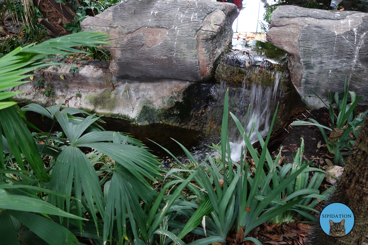 Waterfall - St Paul, Minnesota