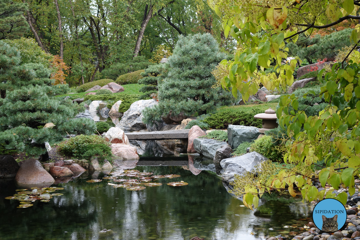 Japanese Garden - St Paul, Minnesota