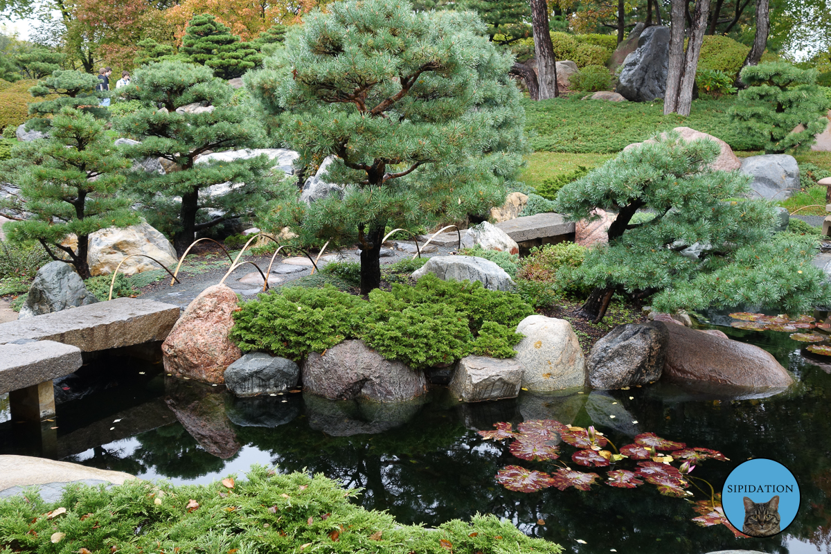 Japanese Garden - St Paul, Minnesota