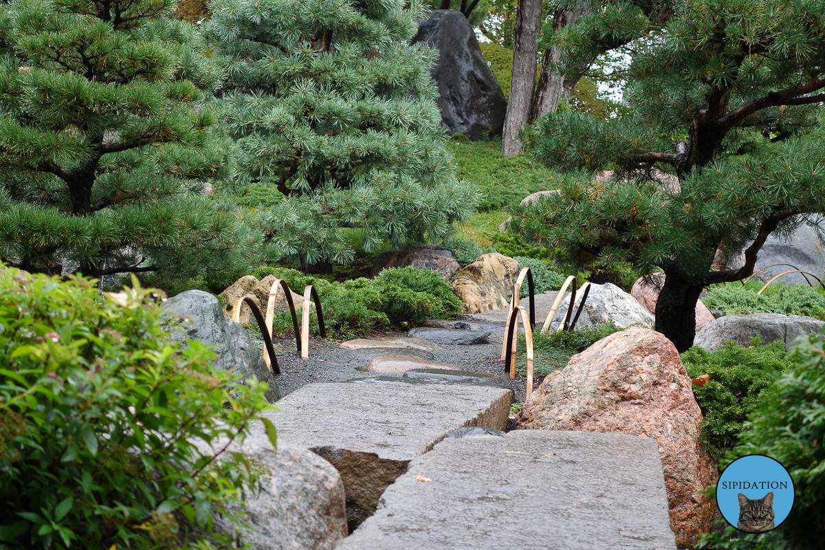 Japanese Garden - St Paul, Minnesota