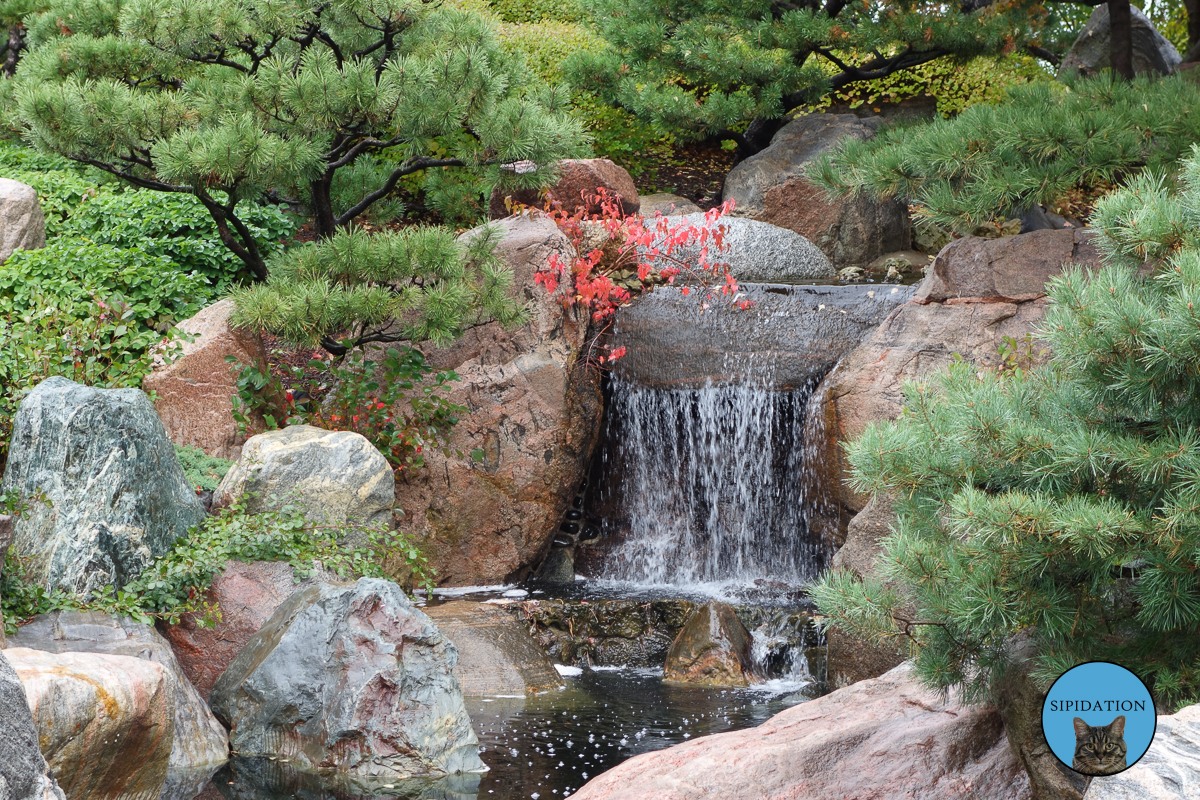 Japanese Garden - St Paul, Minnesota