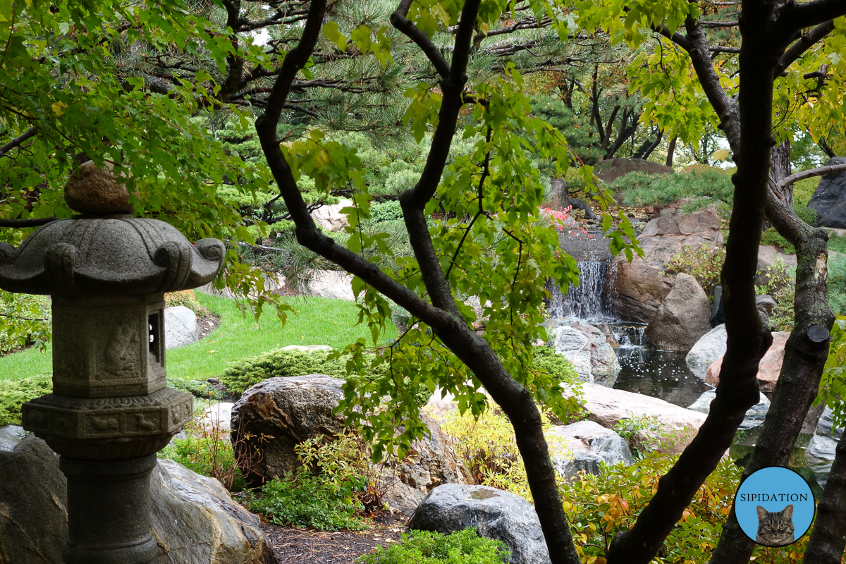 Japanese Garden - St Paul, Minnesota