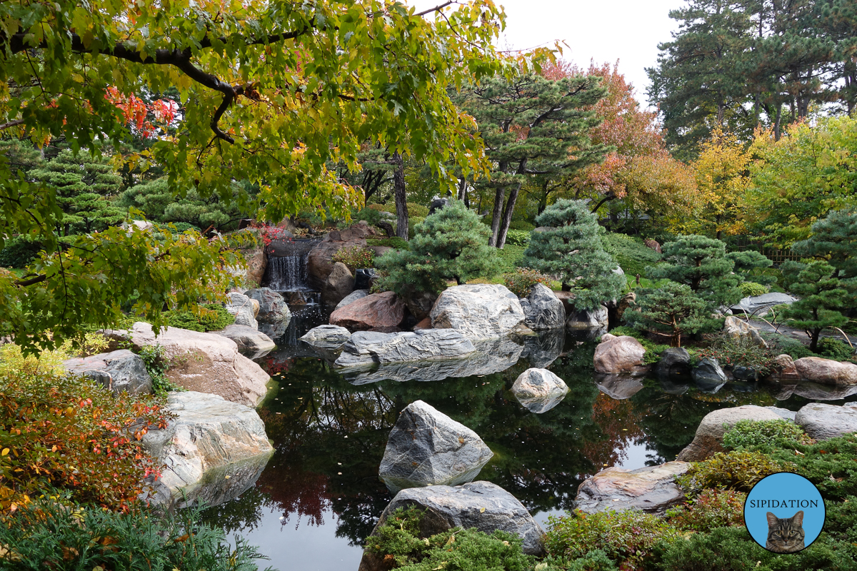 Japanese Garden - St Paul, Minnesota