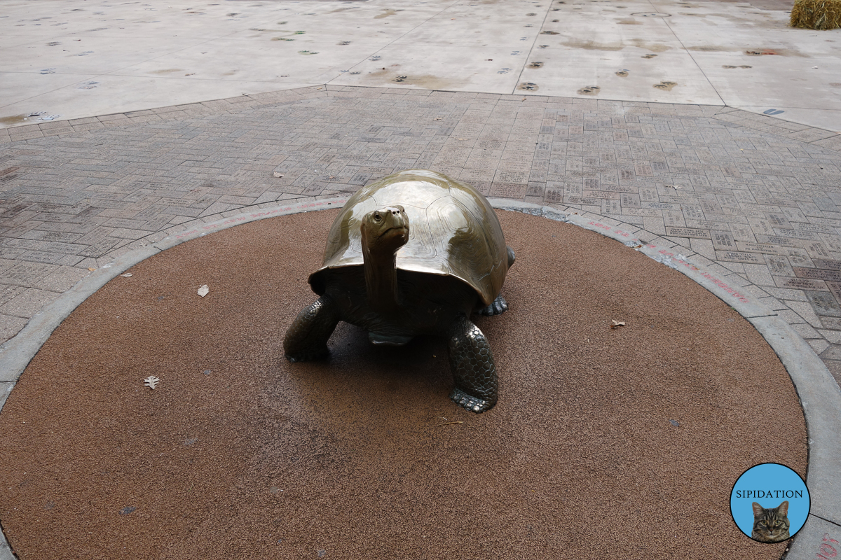 Toby The Tortoise Sculpture - St Paul, Minnesota