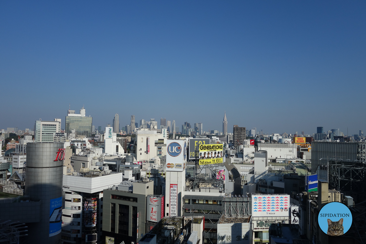 View from Shibuya - Tokyo, Japan