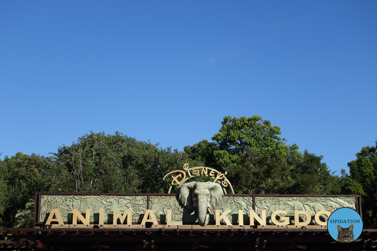 Animal Kingdom - Disney World, Florida