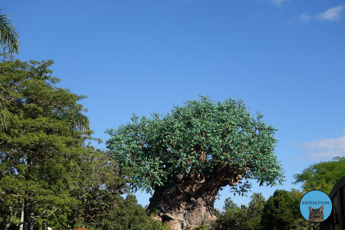Tree of Life - Animal Kingdom - Disney World, Florida