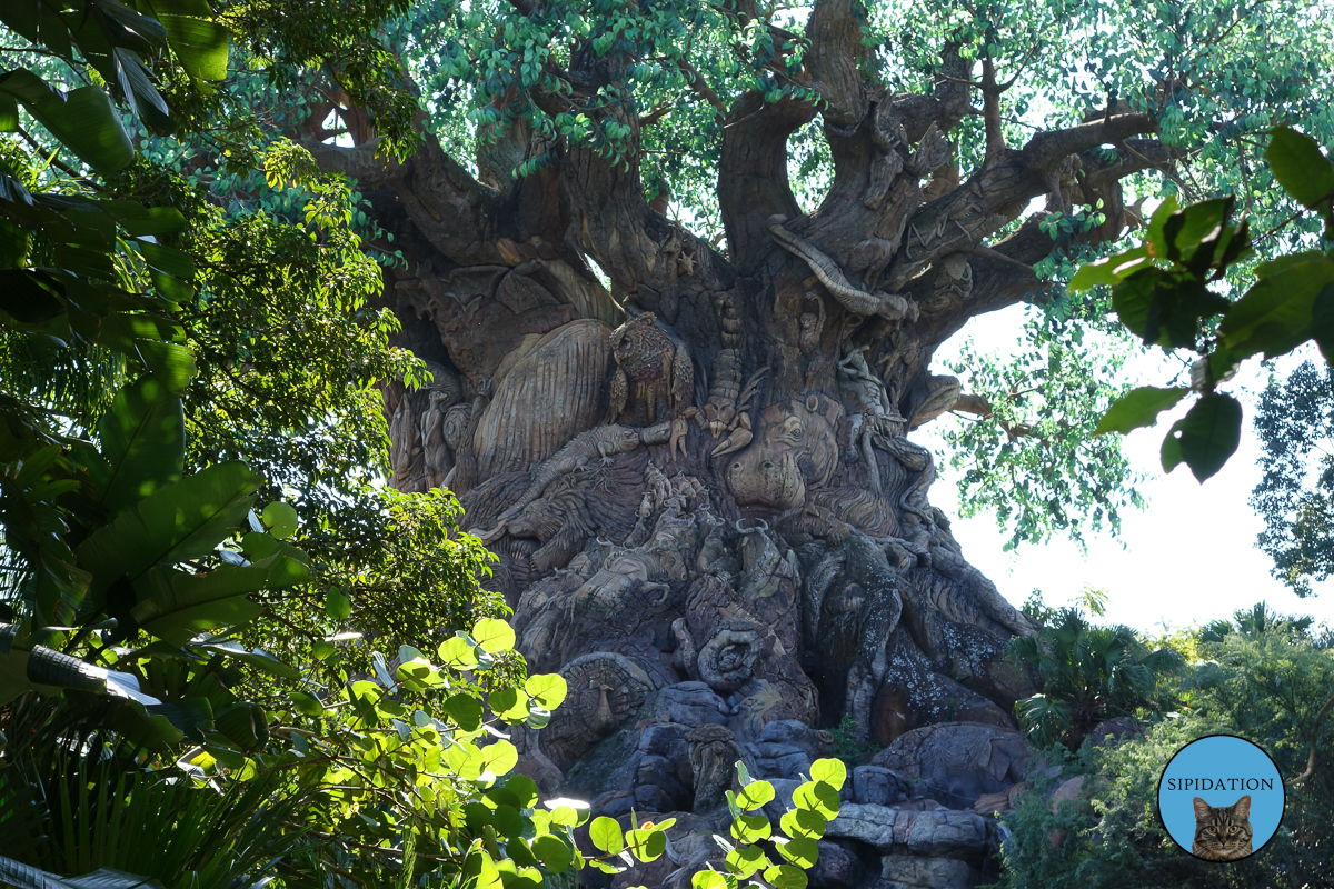 Tree of Life - Animal Kingdom - Disney World, Florida