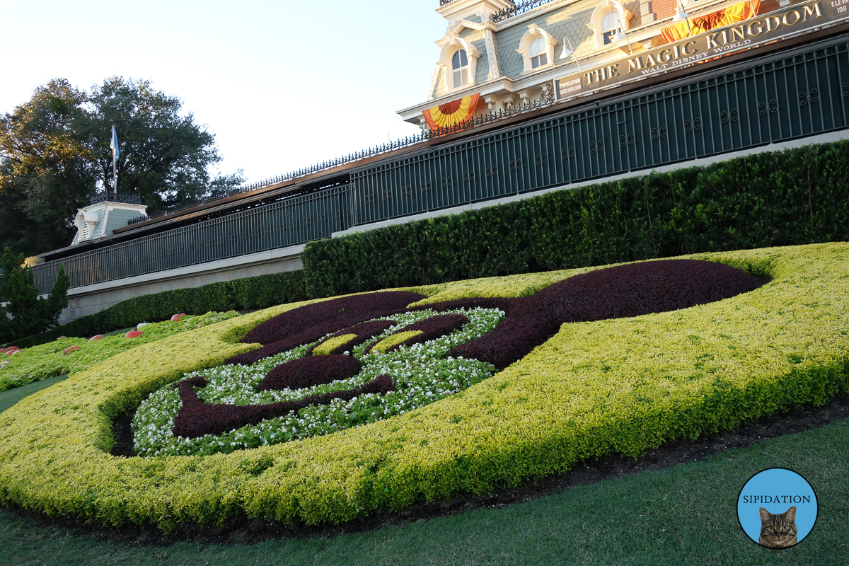 Mickey Plants - Magic Kingdom - Disney World, Florida