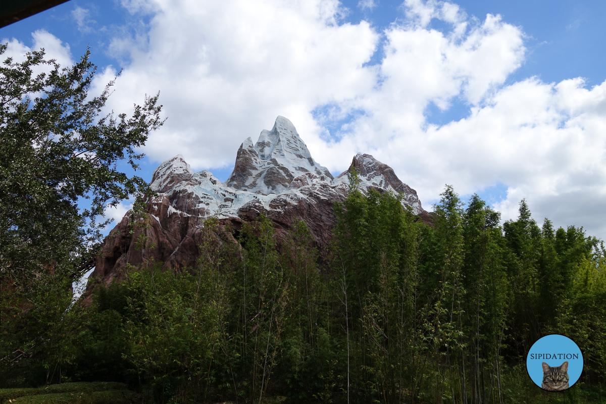 Expedition Everest - Animal Kingdom - Disney World, Florida