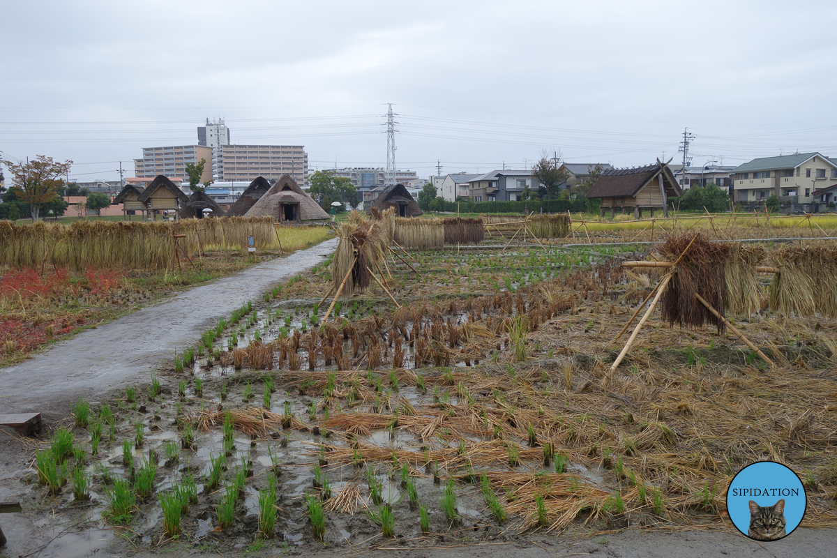 Toro Park - Shizuoka, Japan