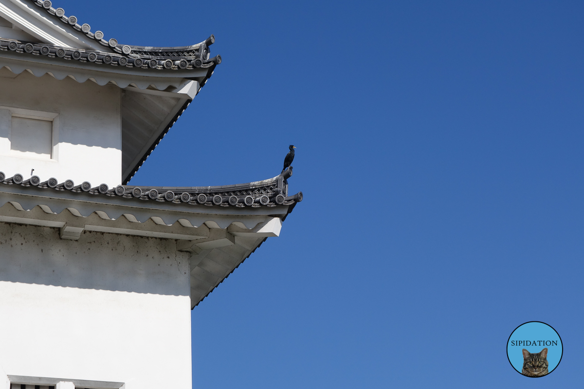 Sunpu Castle - Shizuoka, Japan