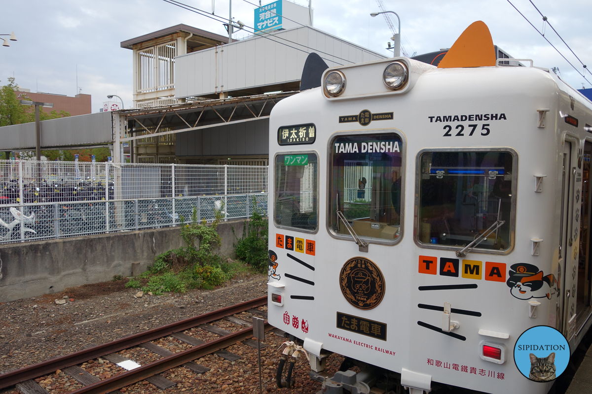 Tama Train - Kishi, Japan