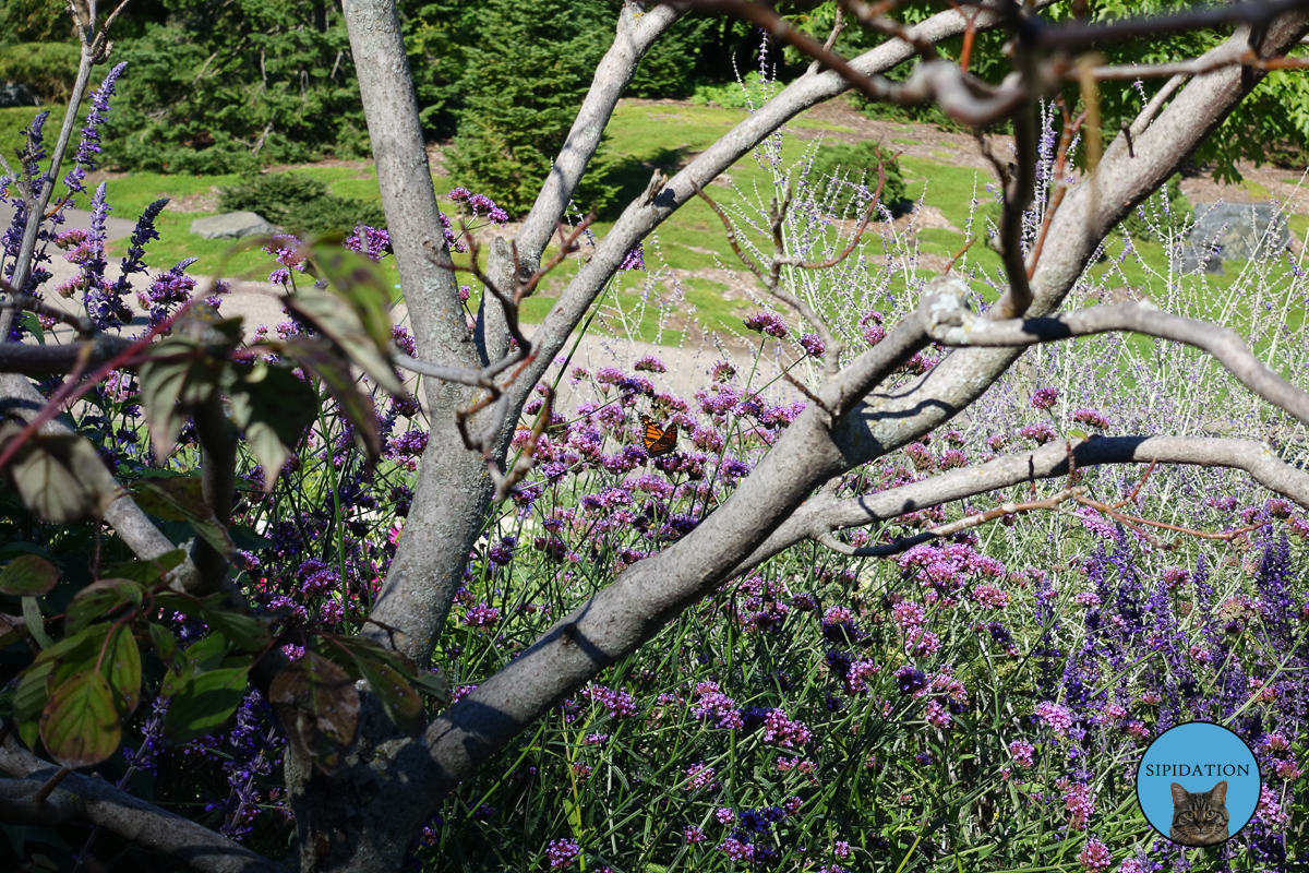 Minnesota Landscape Arboretum