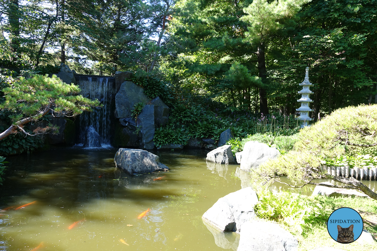 Japanese Garden - Minnesota Landscape Arboretum