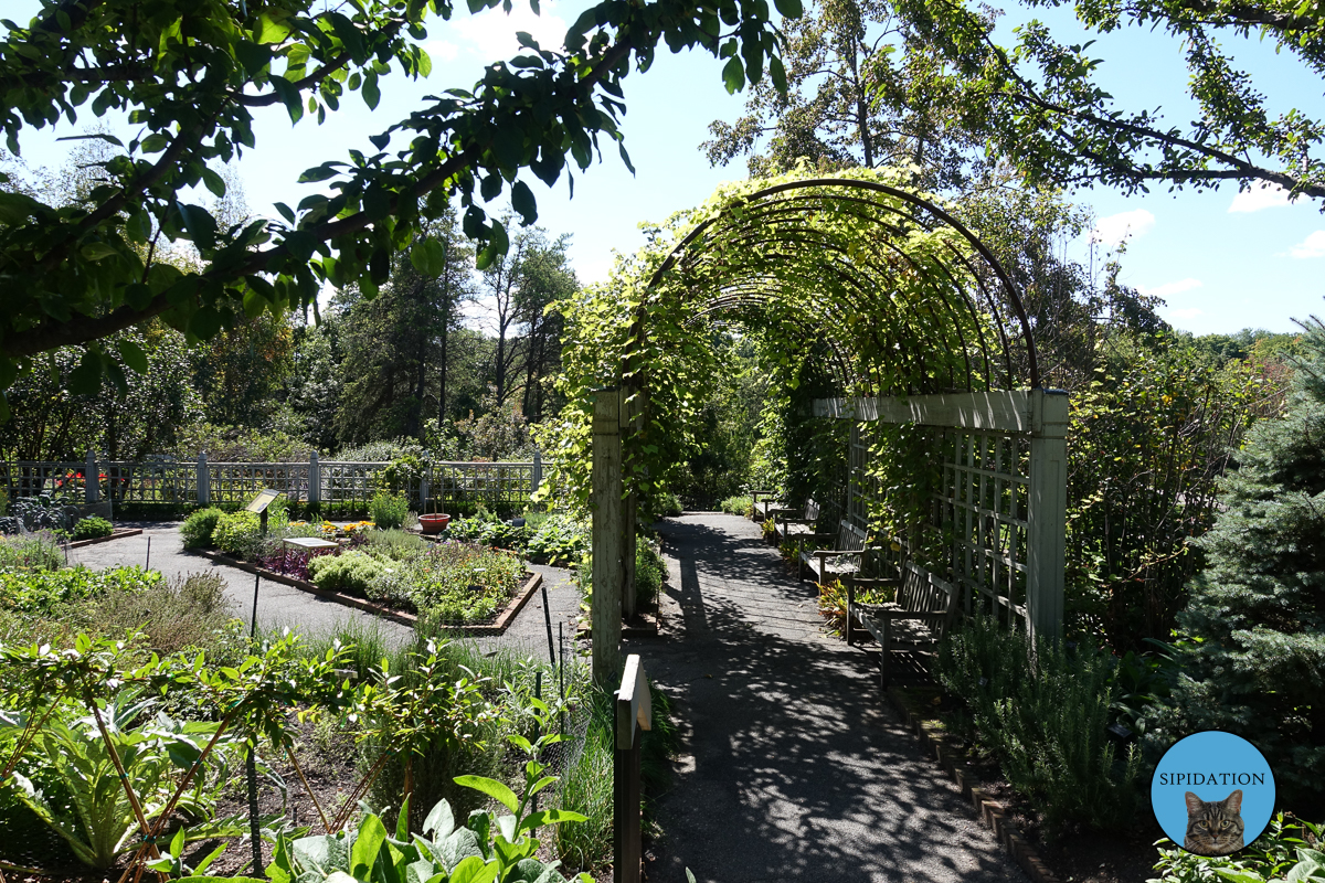 Minnesota Landscape Arboretum