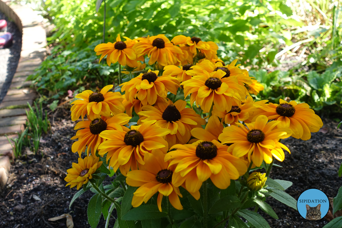 Minnesota Landscape Arboretum