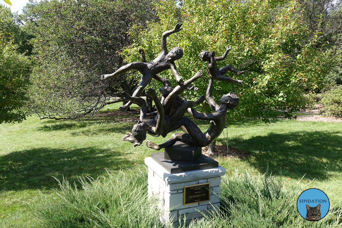 Swimmers by Paul T. Granlund - Minnesota Landscape Arboretum