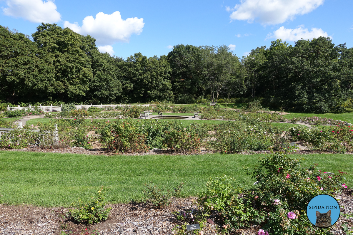 Minnesota Landscape Arboretum