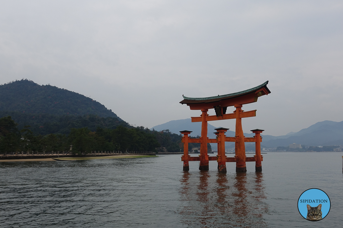 Floating Tori - Miyajima, Japan