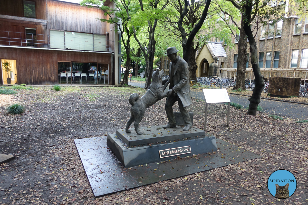 Hachiko and Hidesaburo Ueno  - Tokyo, Japan