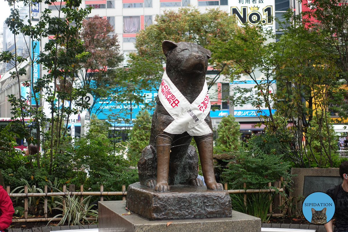 Hachiko - Tokyo, Japan