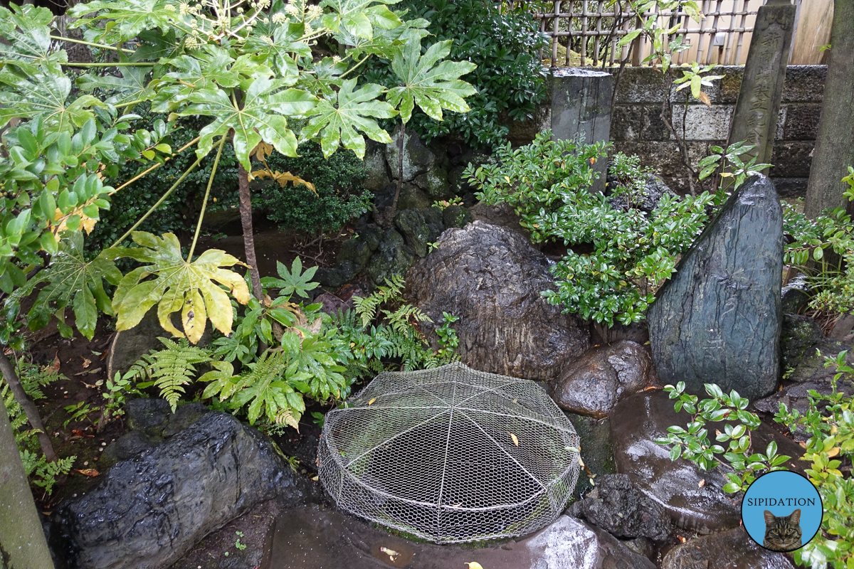 Kira Yoshinaka Head Washed Here - Tokyo, Japan