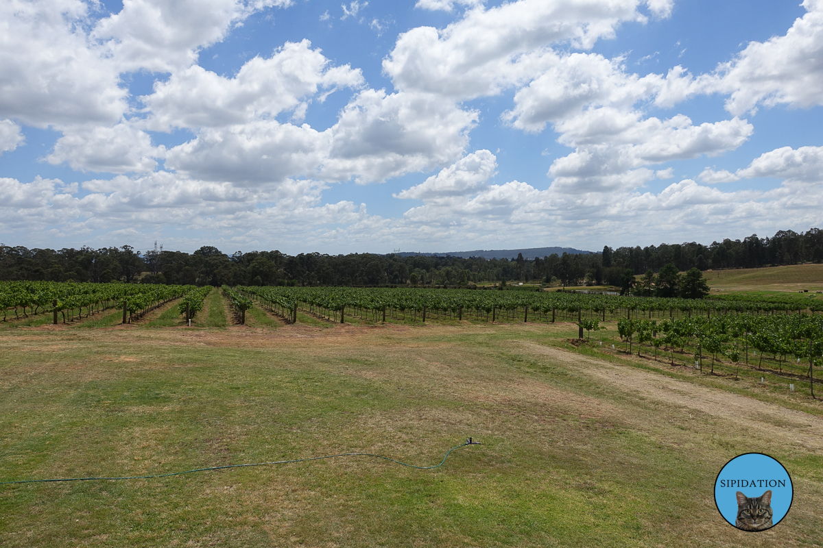 Gemelli Estate Winery - Hunter Valley, Australia