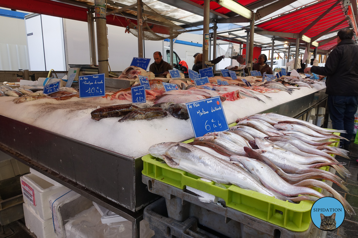 Fish Market - Nice, France