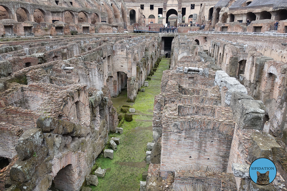 Colosseum - Rome, Italy