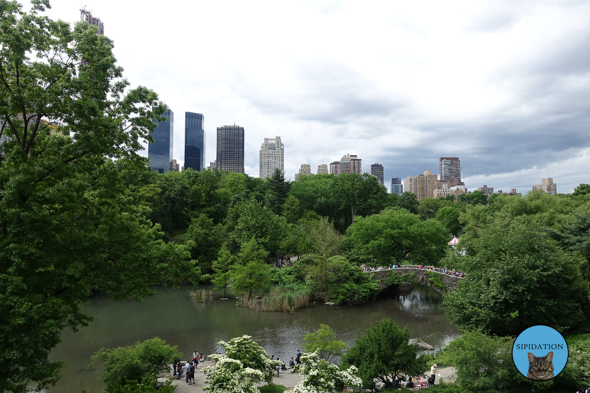 Central Park - New York City, New York