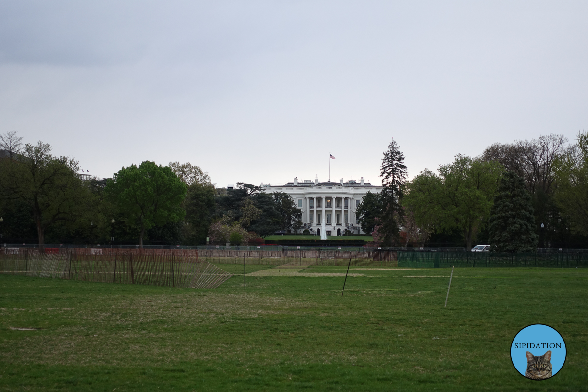 White House - Washington DC