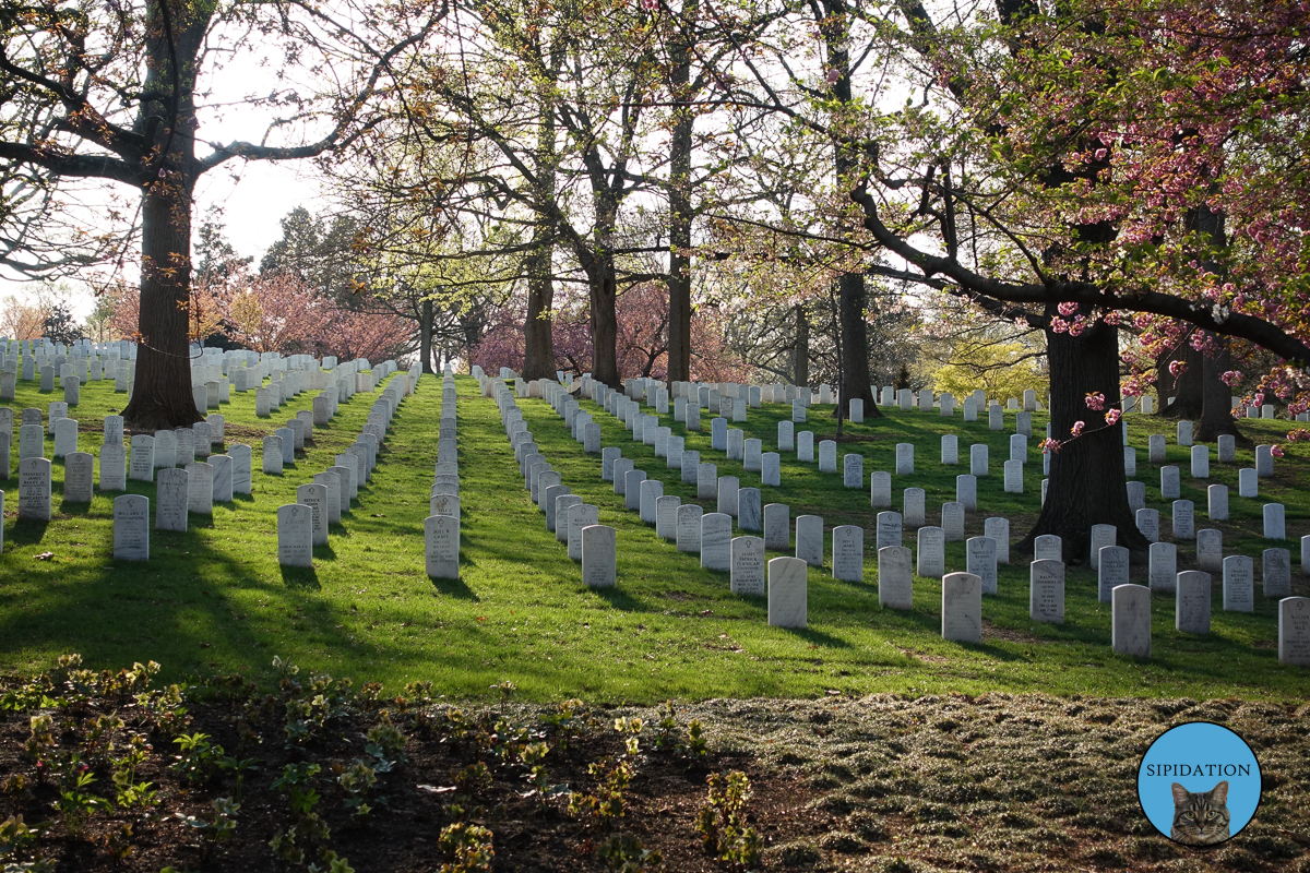 Arlington National Cemetery - Arlington Virginia