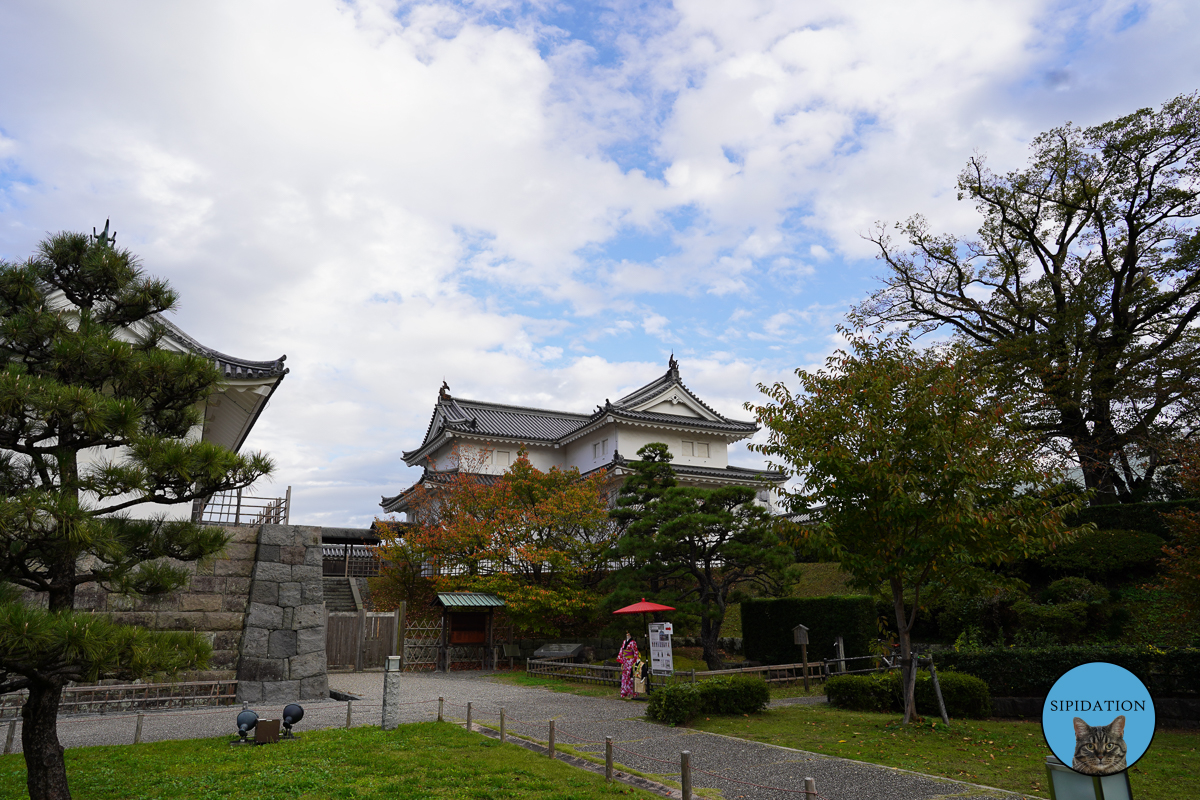 Shizuoka Castle Grounds - Shizuoka, Japan