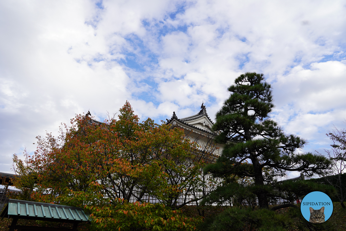 Shizuoka Castle Grounds - Shizuoka, Japan