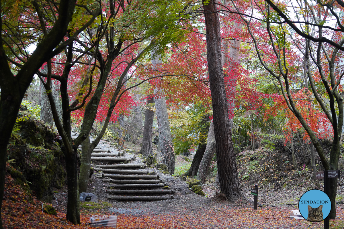 Fall Festival - Fujinomiya, Japan