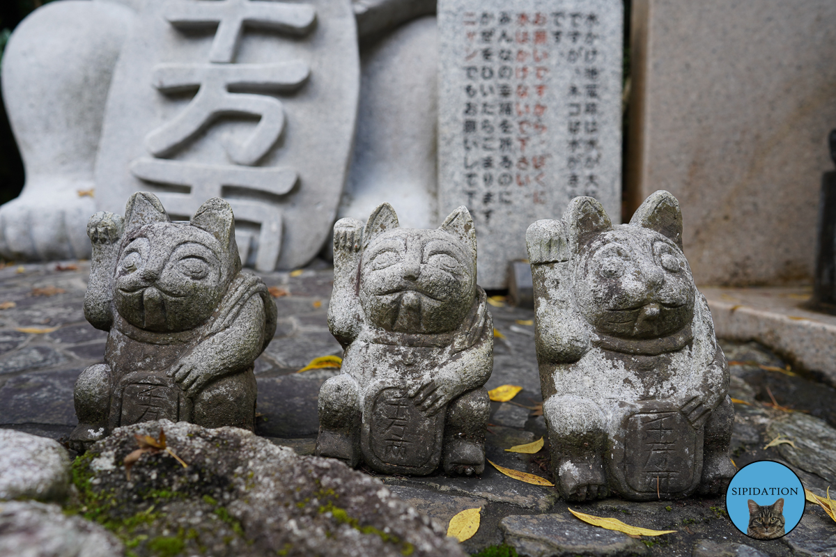 Buddhist Temple - Fukuoka, Japan