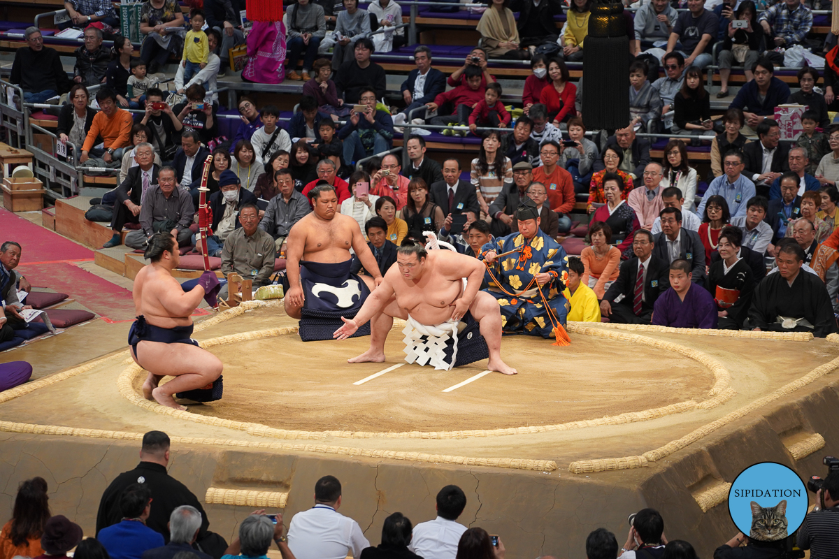 Sumo Tournament Day 1 - Fukuoka, Japan