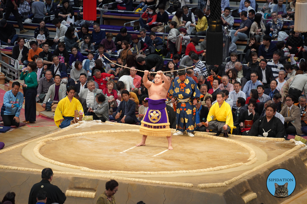 Sumo Tournament Day 1 - Fukuoka, Japan