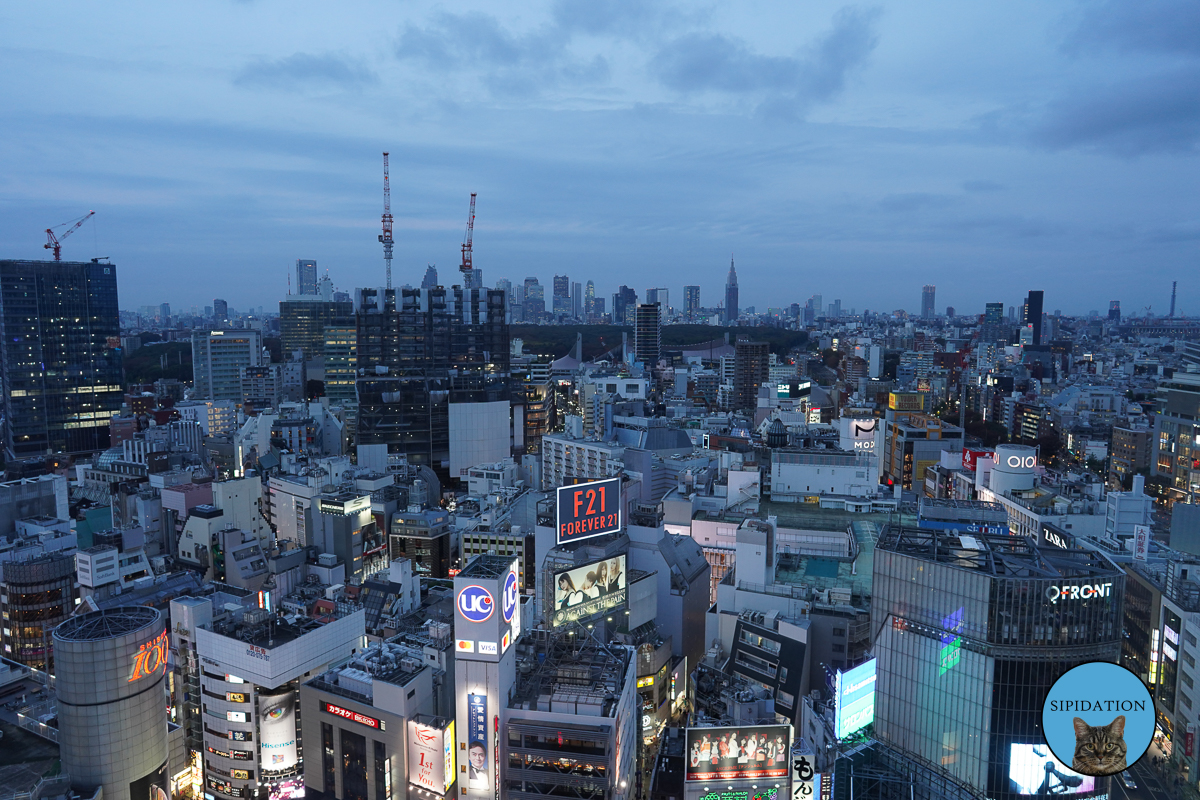 Shibuya - Tokyo, Japan