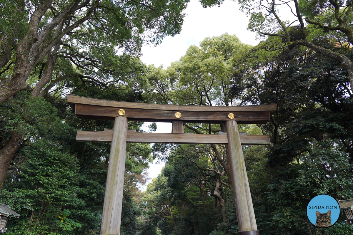 Meiji Shrine - Tokyo, Japan