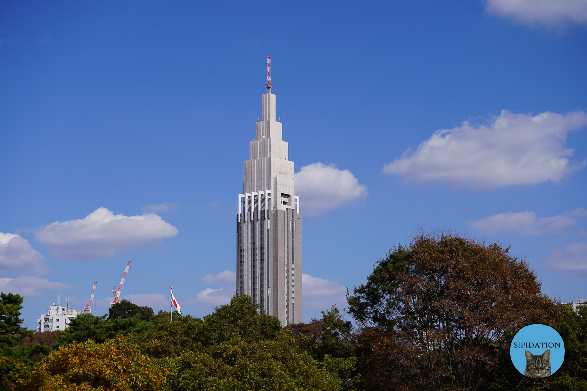 Meiji Shrine - Tokyo, Japan