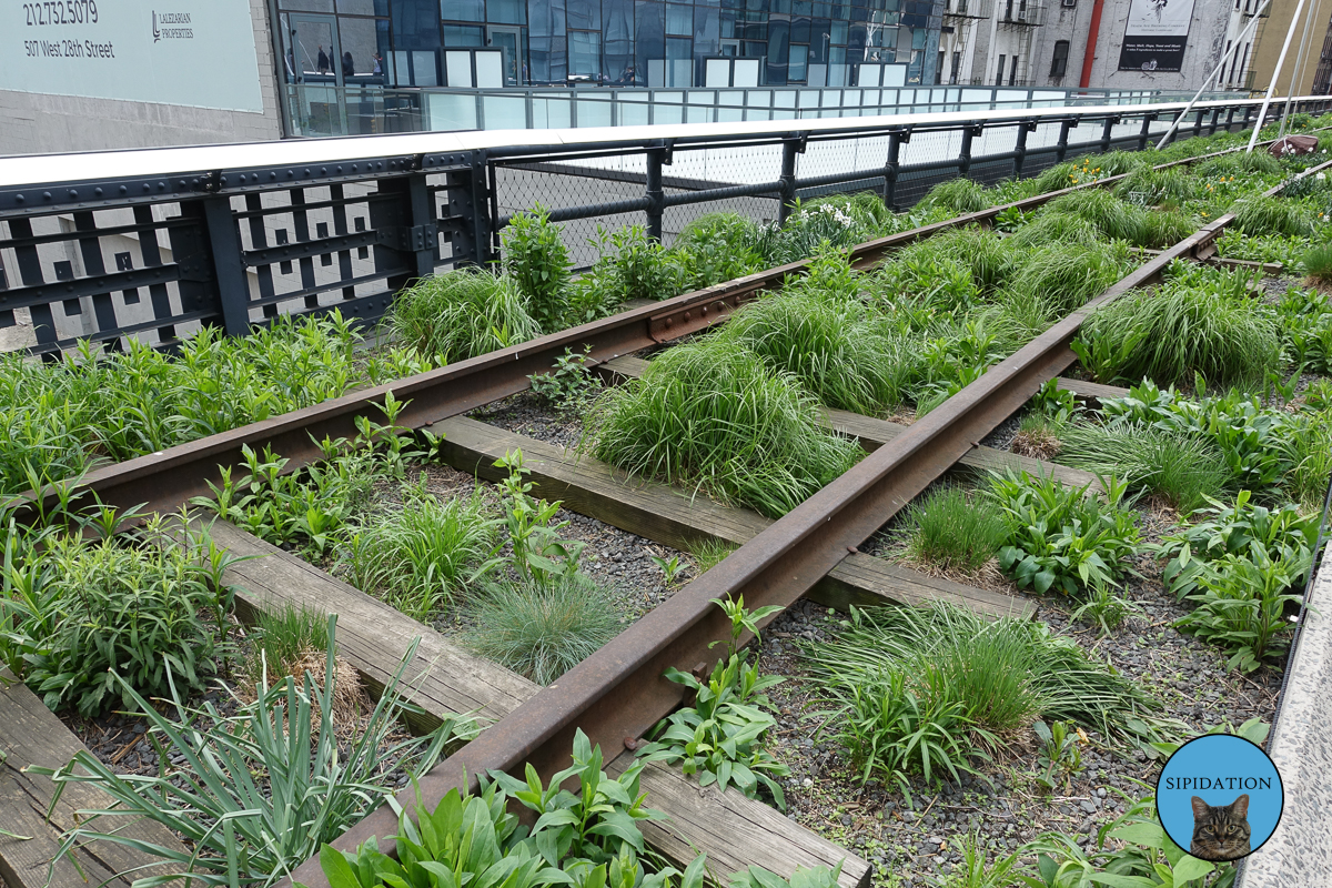 The High Line - New York City, New York