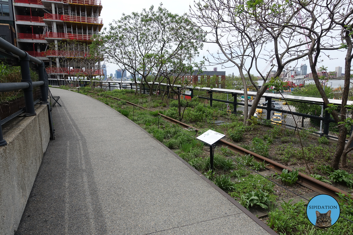 The High Line - New York City, New York