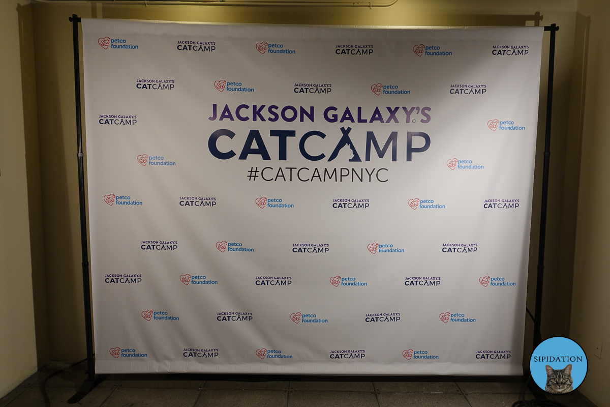 Jackson Galaxy's Cat Camp - New York City, New York