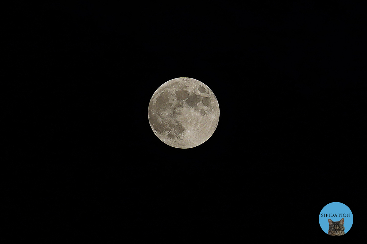 Full Moon 06-16-2019