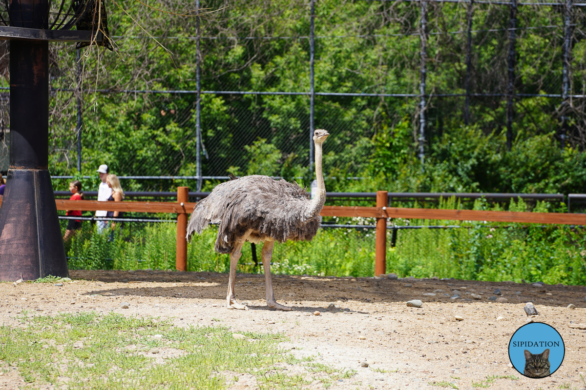 Como Zoo and Conservatory