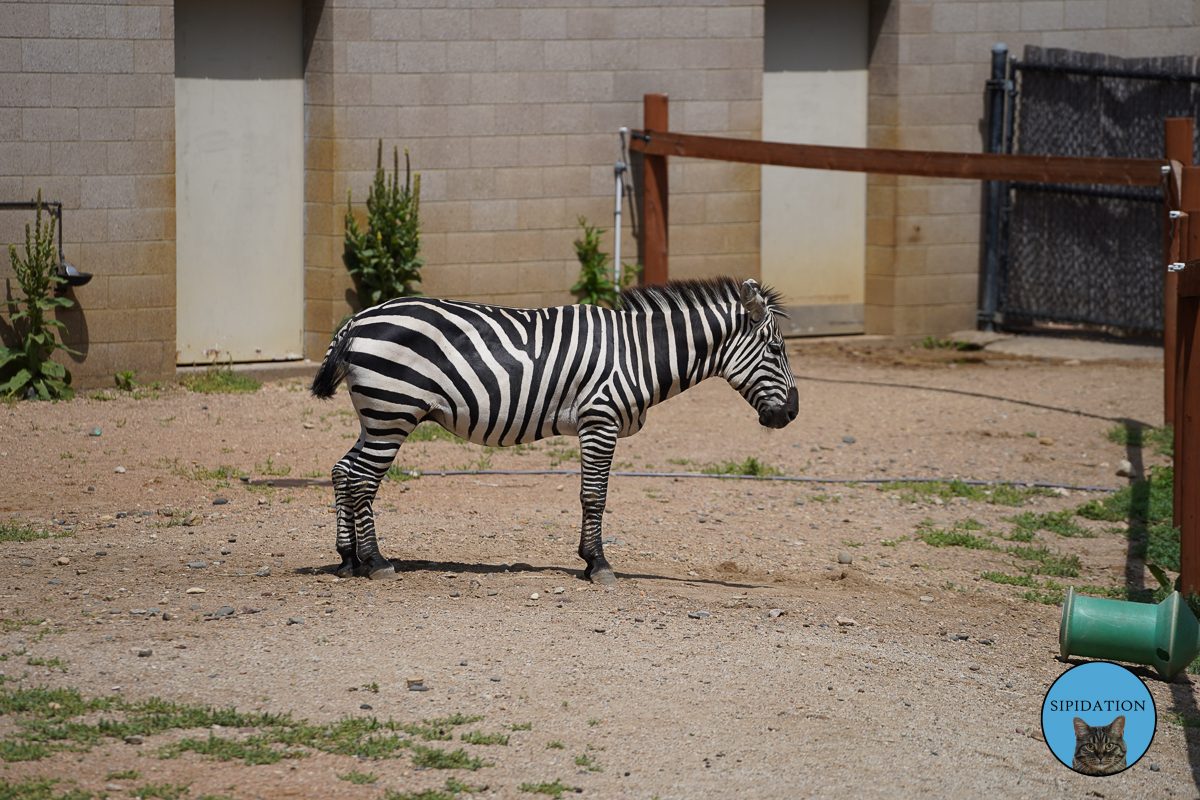 Como Zoo and Conservatory