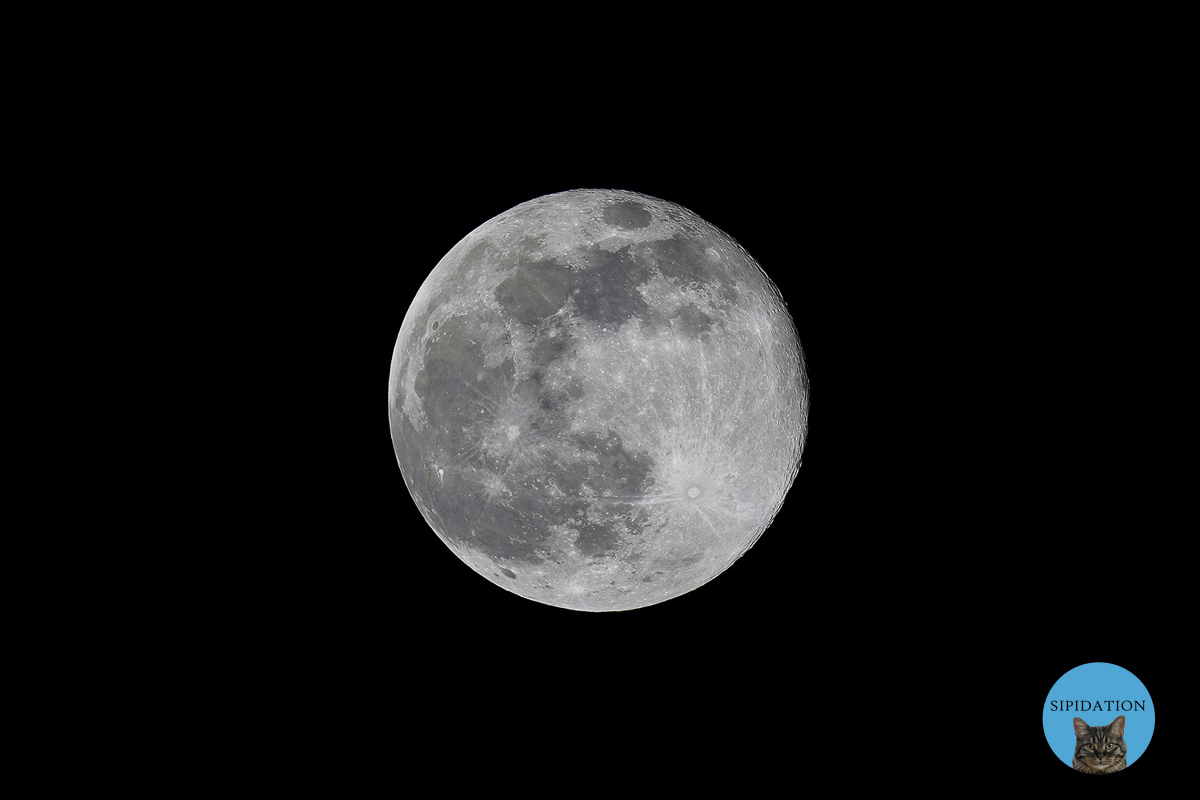 Full Moon - Worm Moon - 03-09-2020