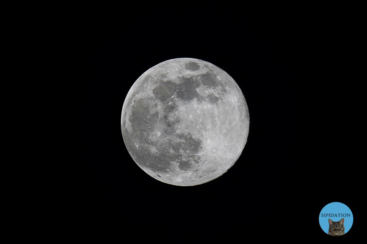 Full Moon - Super Pink Moon - 04-07-2020